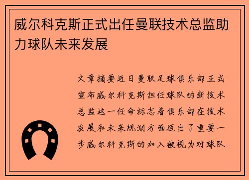 威尔科克斯正式出任曼联技术总监助力球队未来发展